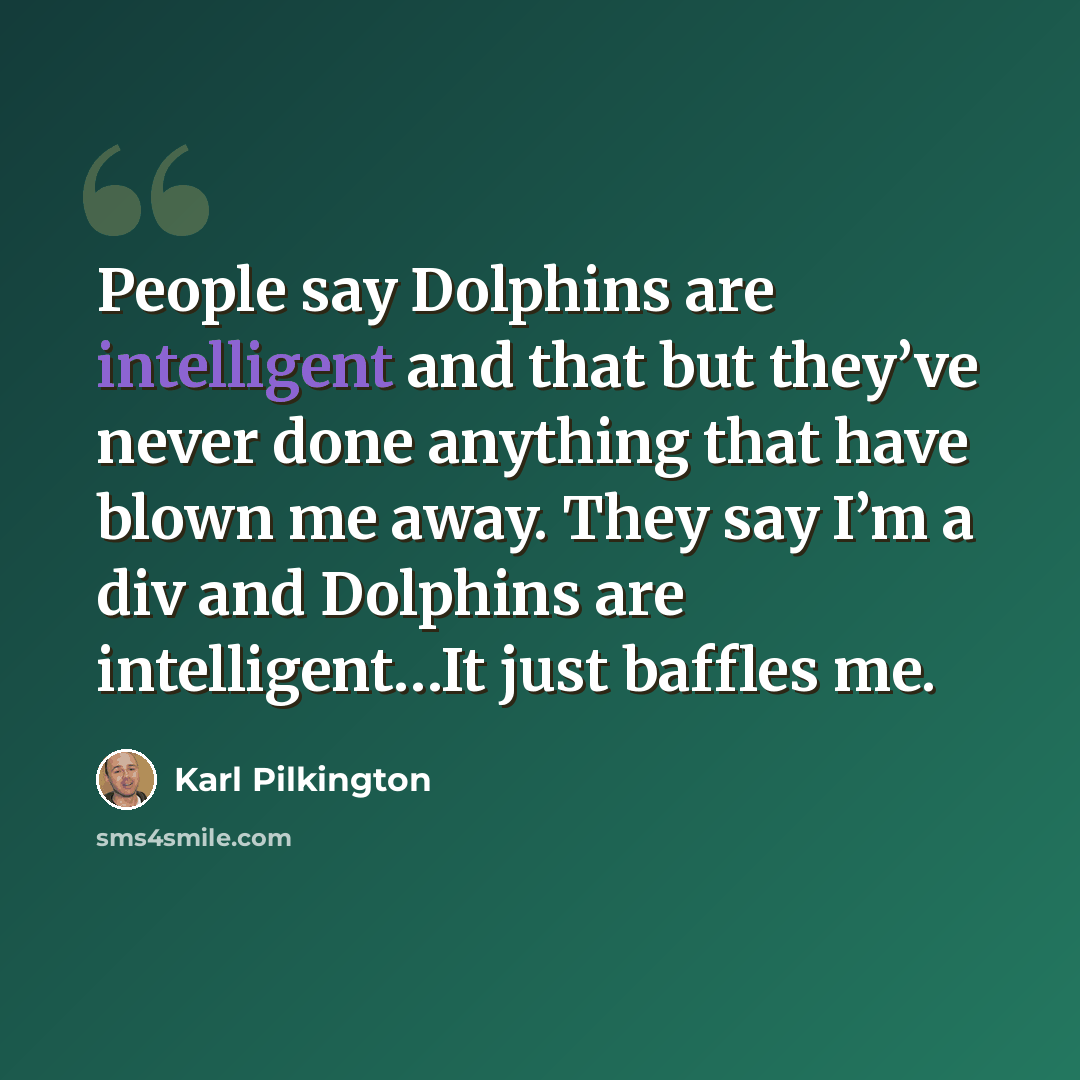 “People say Dolphins are intelligent and that but they’ve never done anything that have blown me away. They say I’m a div and Dolphins are intelligent…It just baffles me.” quote by Karl Pilkington