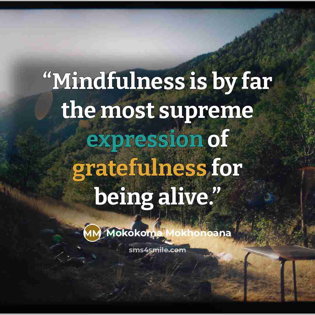 “Mindfulness is by far the most supreme expression of gratefulness for being alive.” quote by Mokokoma Mokhonoana