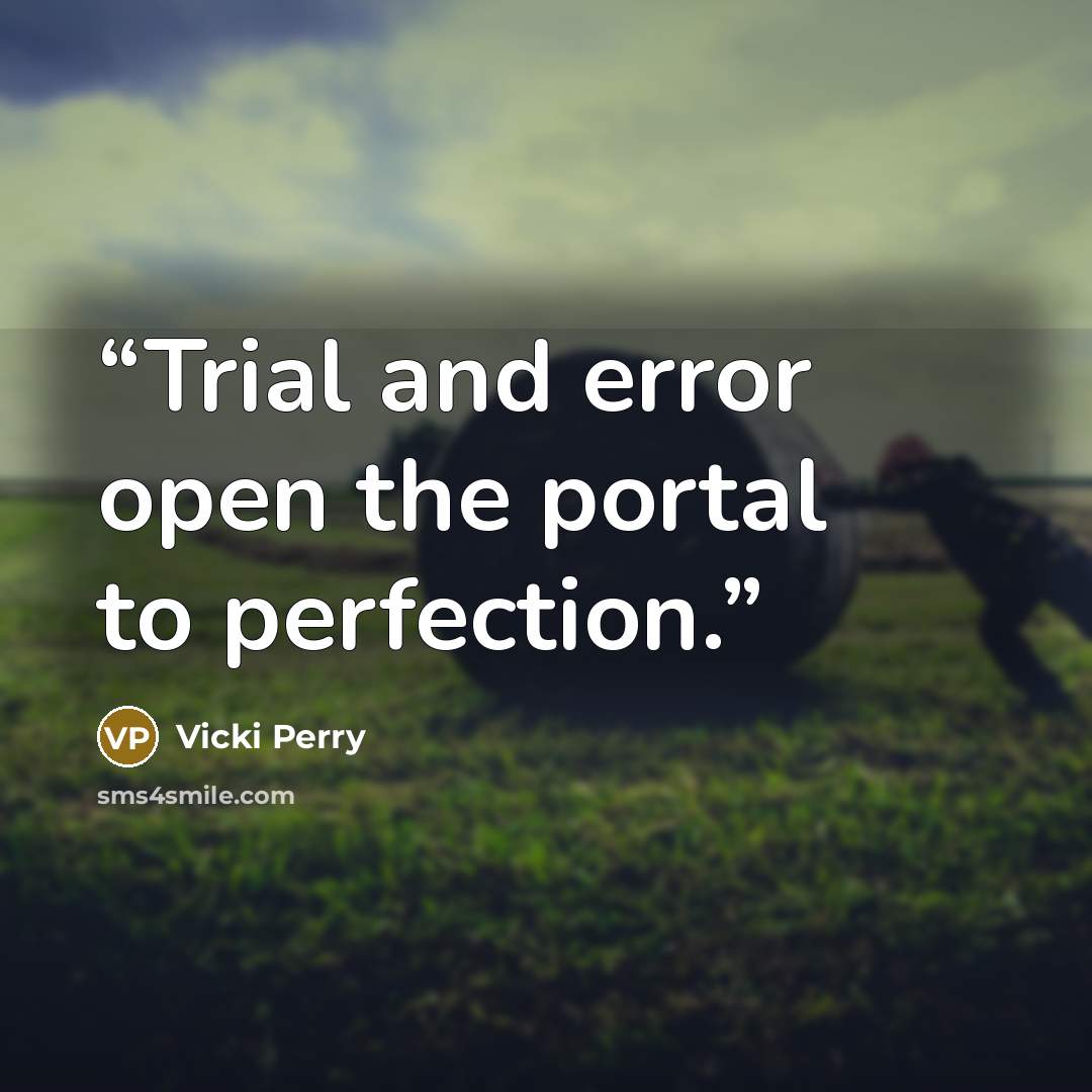“Trial and error open the portal to perfection.” quote by Vicki Perry