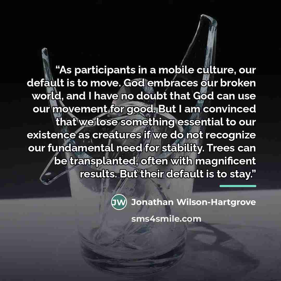 “As participants in a mobile culture, our default is to move. God embraces our broken world, and I have no doubt that God can use our movement for good. But I am convinced that we lose something essential to our existence as creatures if we do not recognize our fundamental need for stability. Trees…” quote by Jonathan Wilson-Hartgrove