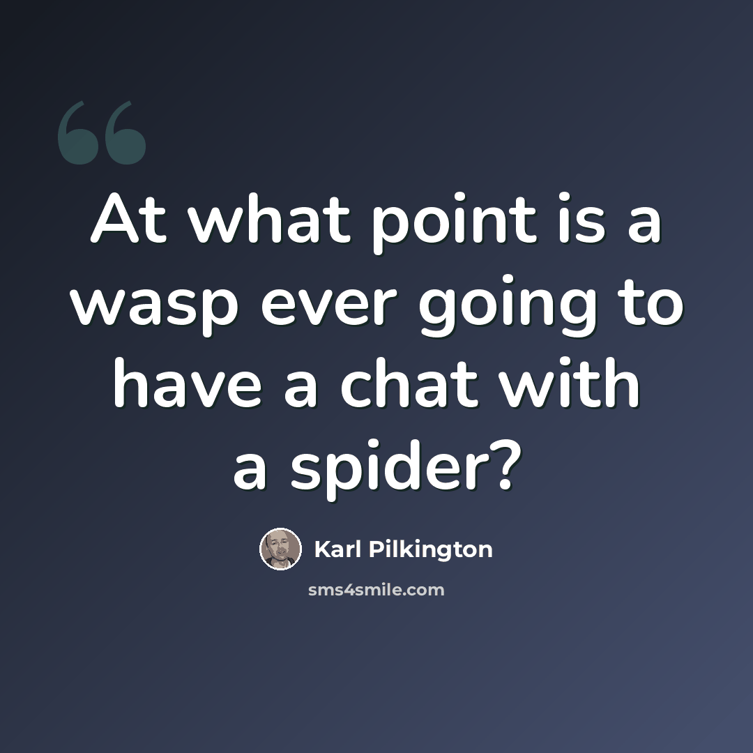 “At what point is a wasp ever going to have a chat with a spider?” quote by Karl Pilkington