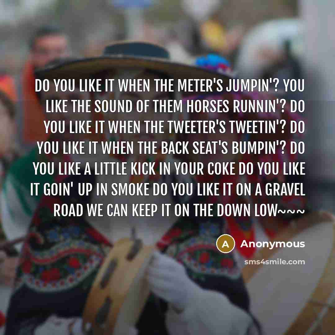 “Do you like it when the meter's jumpin'? You like the sound of them horses runnin'? Do you like it when the tweeter's tweetin'? Do you like it when the back seat's bumpin'? Do you like a little kick in your coke Do you like it goin' up in smoke Do you like it on a gravel road We can keep it on the…” quote by Anonymous