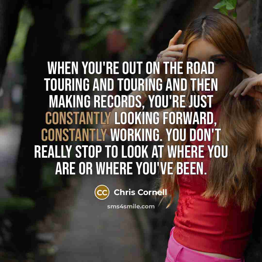 “When you're out on the road touring and touring and then making records, you're just constantly looking forward, constantly working. You don't really stop to look at where you are or where you've been.” quote by Chris Cornell