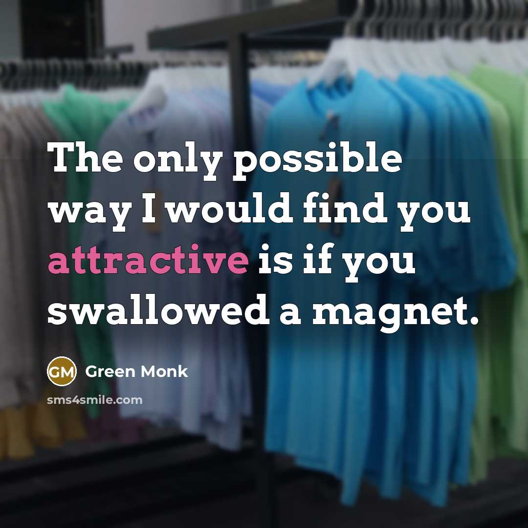 “The only possible way I would find you attractive is if you swallowed a magnet.” quote by Green Monk