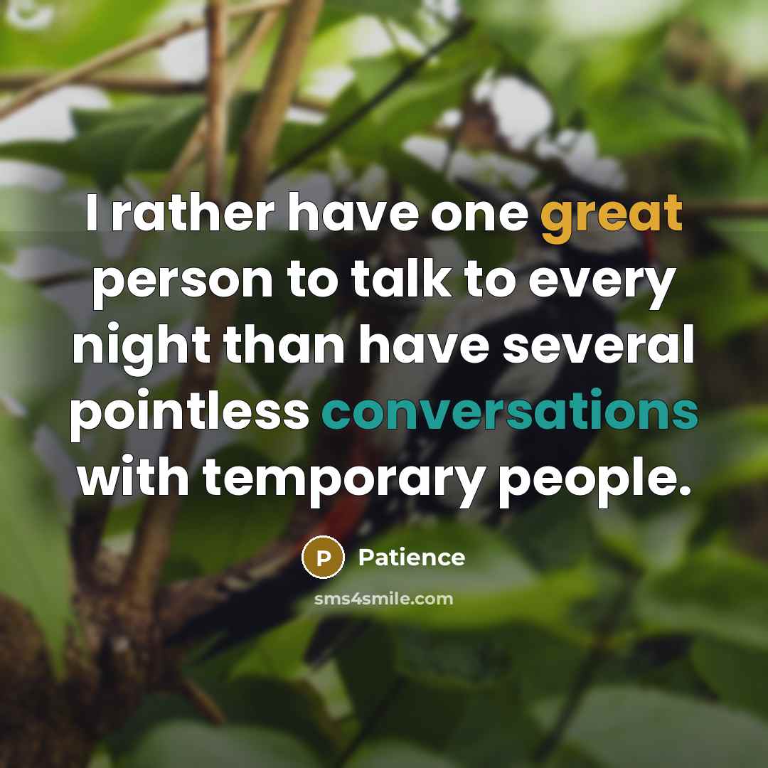 “I rather have one great person to talk to every night than have several pointless conversations with temporary people.” quote by Patience