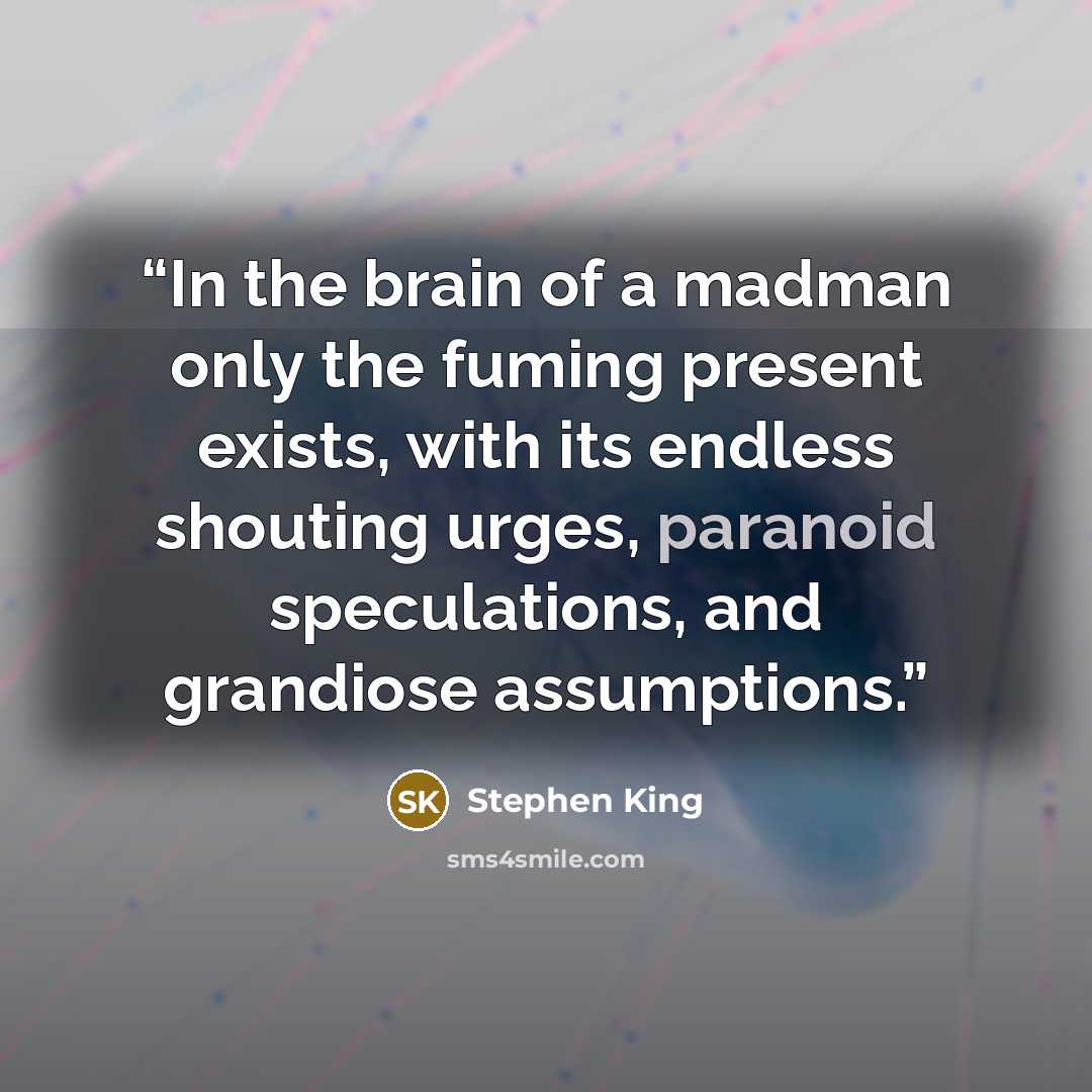 “In the brain of a madman only the fuming present exists, with its endless shouting urges, paranoid speculations, and grandiose assumptions.” quote by Stephen King