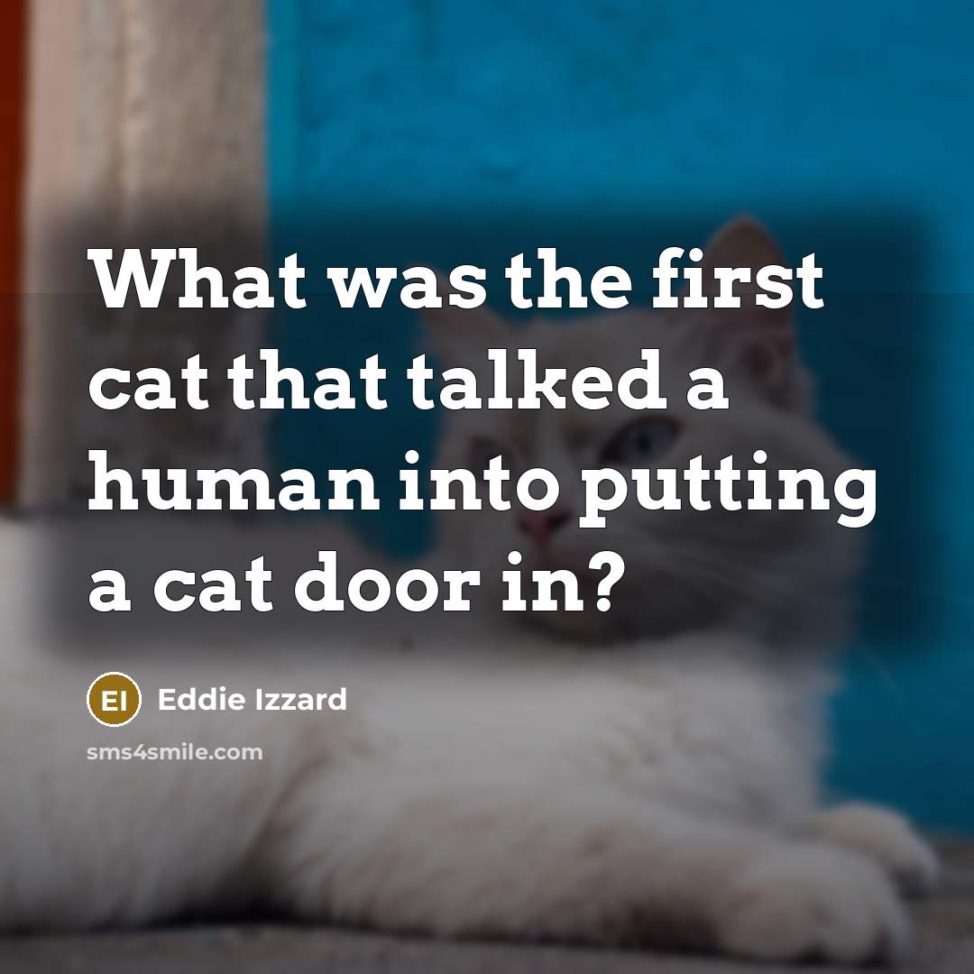 “What was the first cat that talked a human into putting a cat door in?” quote by Eddie Izzard