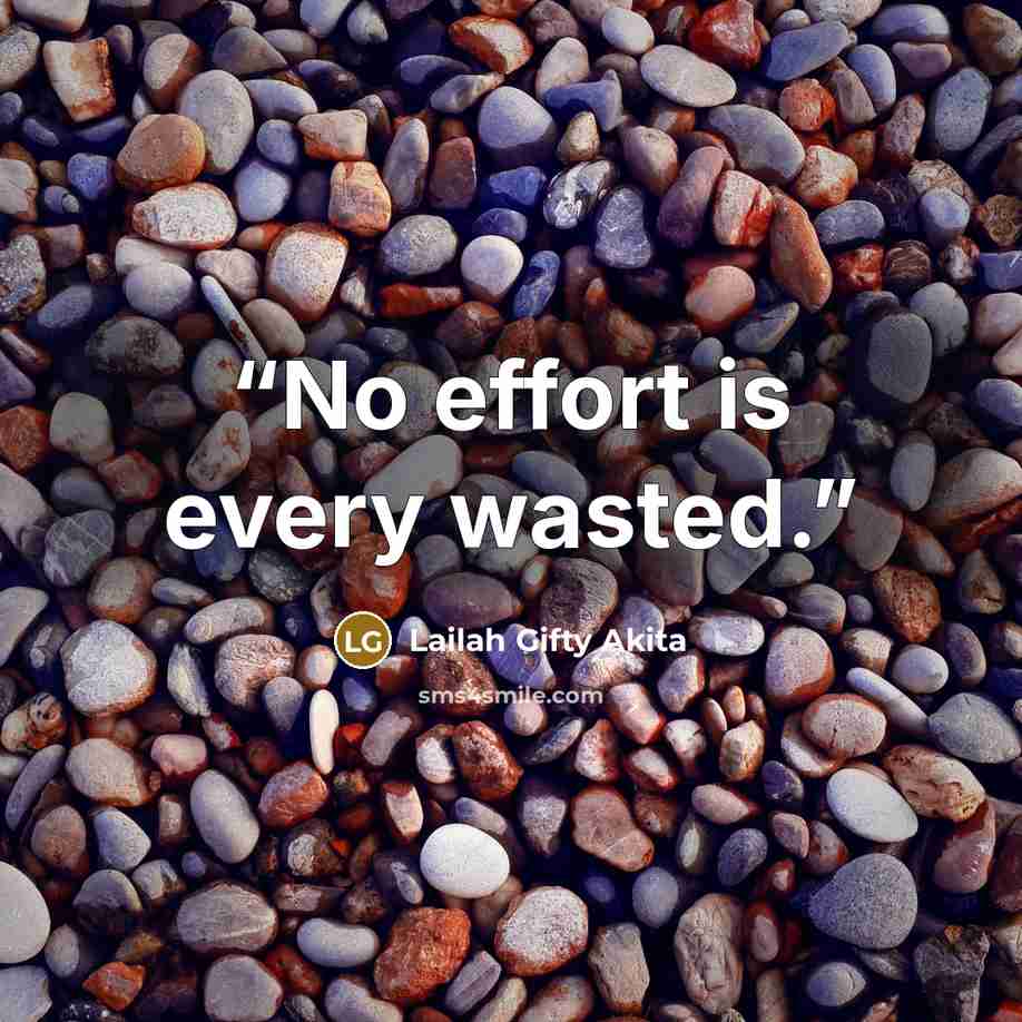 “No effort is every wasted.” quote by Lailah Gifty Akita