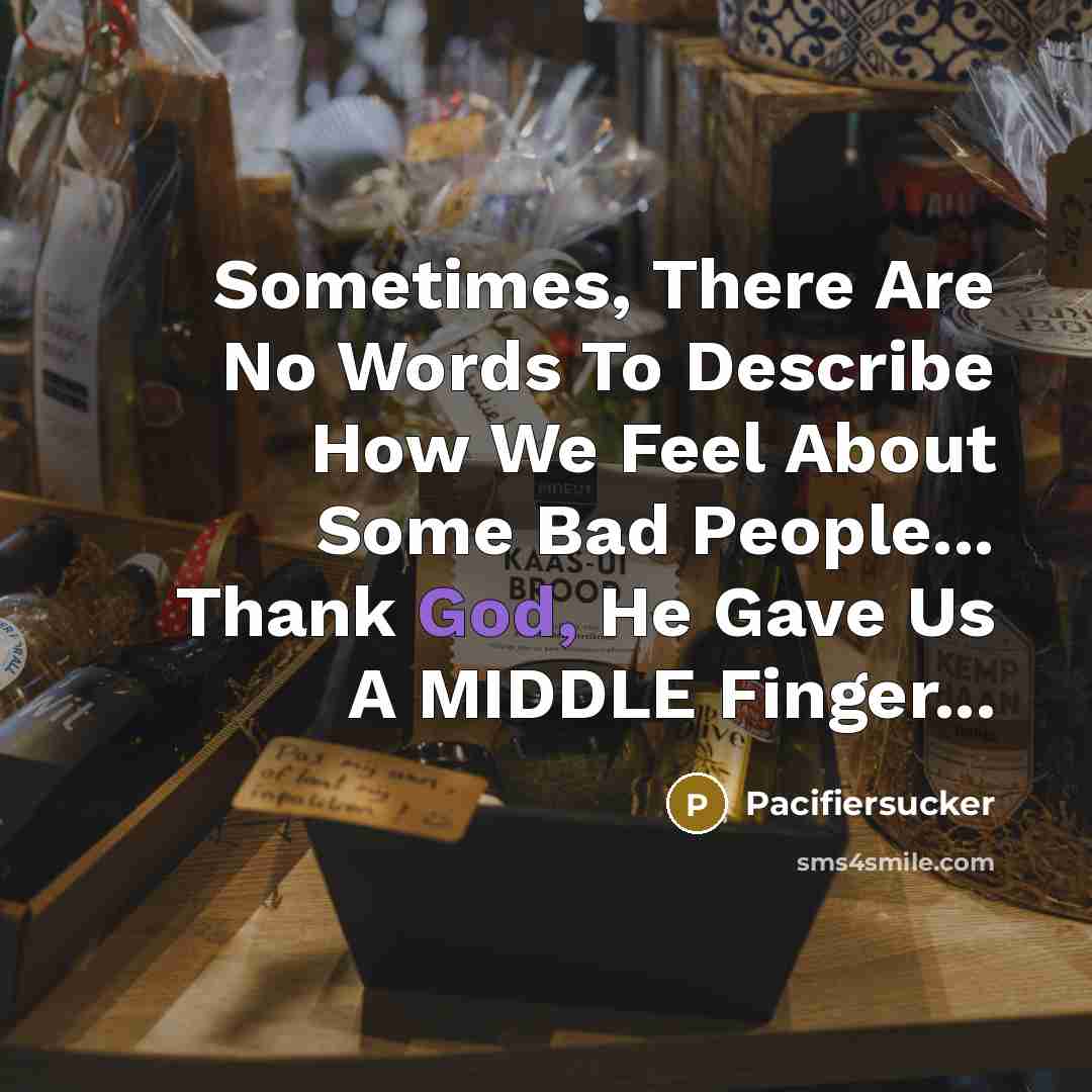 “Sometimes, There Are No Words To Describe How We Feel About Some Bad People... Thank God, He Gave Us A MIDDLE Finger...” quote by Pacifiersucker