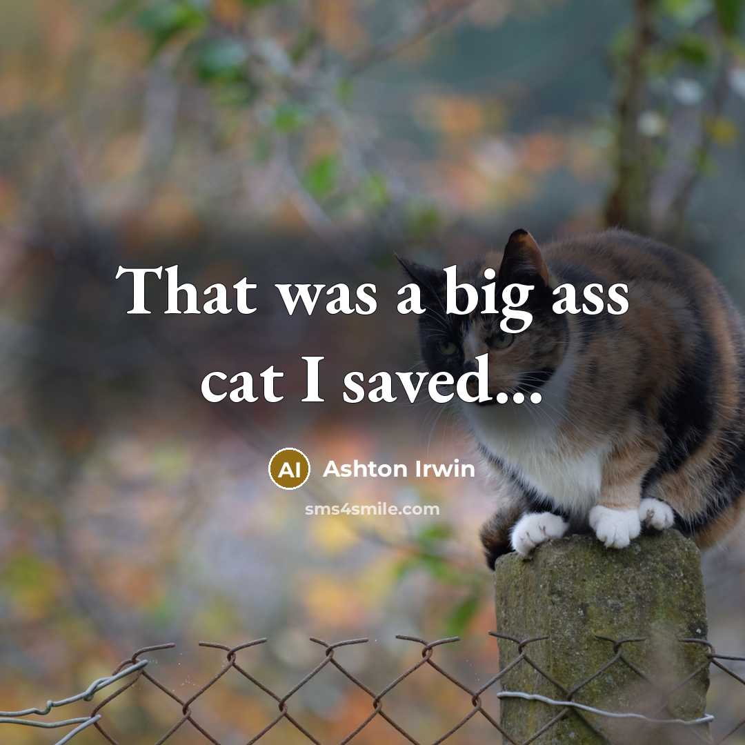 “That was a big ass cat I saved...” quote by Ashton Irwin