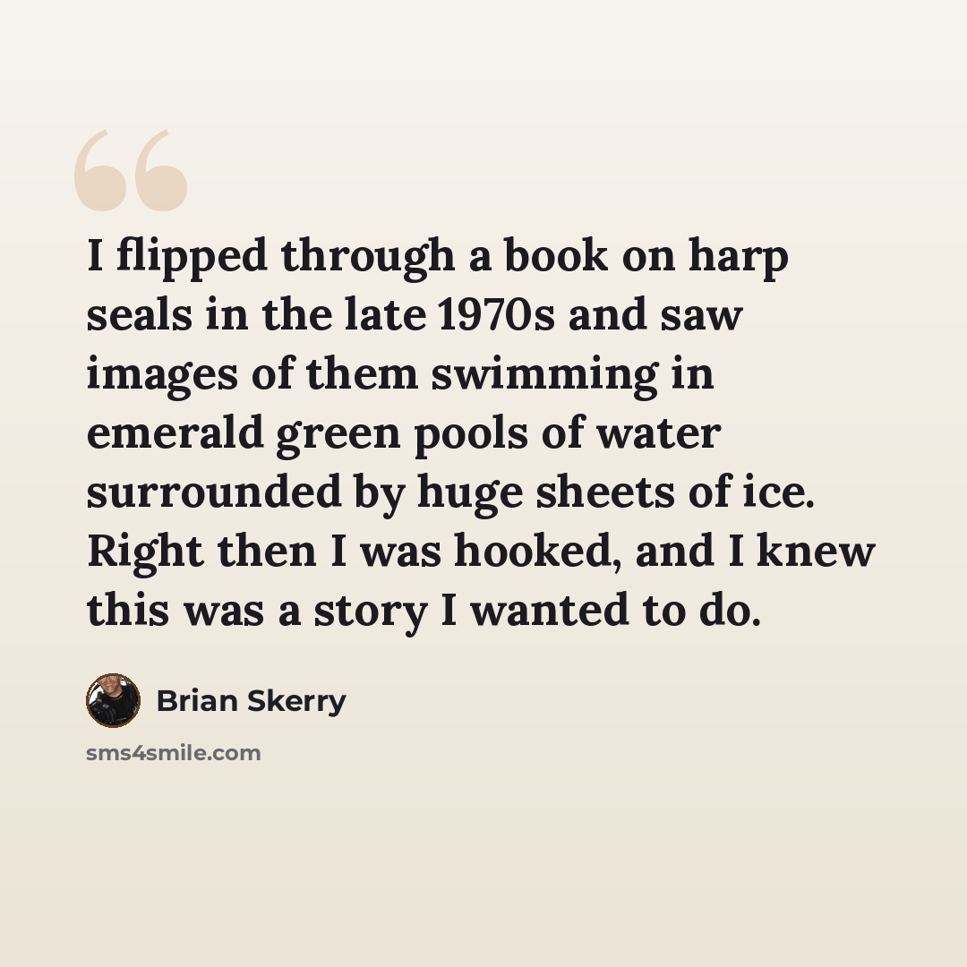“I flipped through a book on harp seals in the late 1970s and saw images of them swimming in emerald green pools of water surrounded by huge sheets of ice. Right then I was hooked, and I knew this was a story I wanted to do.” quote by Brian Skerry
