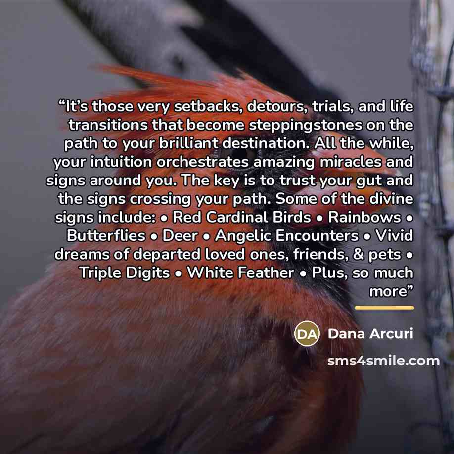“It’s those very setbacks, detours, trials, and life transitions that become steppingstones on the path to your brilliant destination. All the while, your intuition orchestrates amazing miracles and signs around you. The key is to trust your gut and the signs crossing your path. Some of the divine…” quote by Dana Arcuri