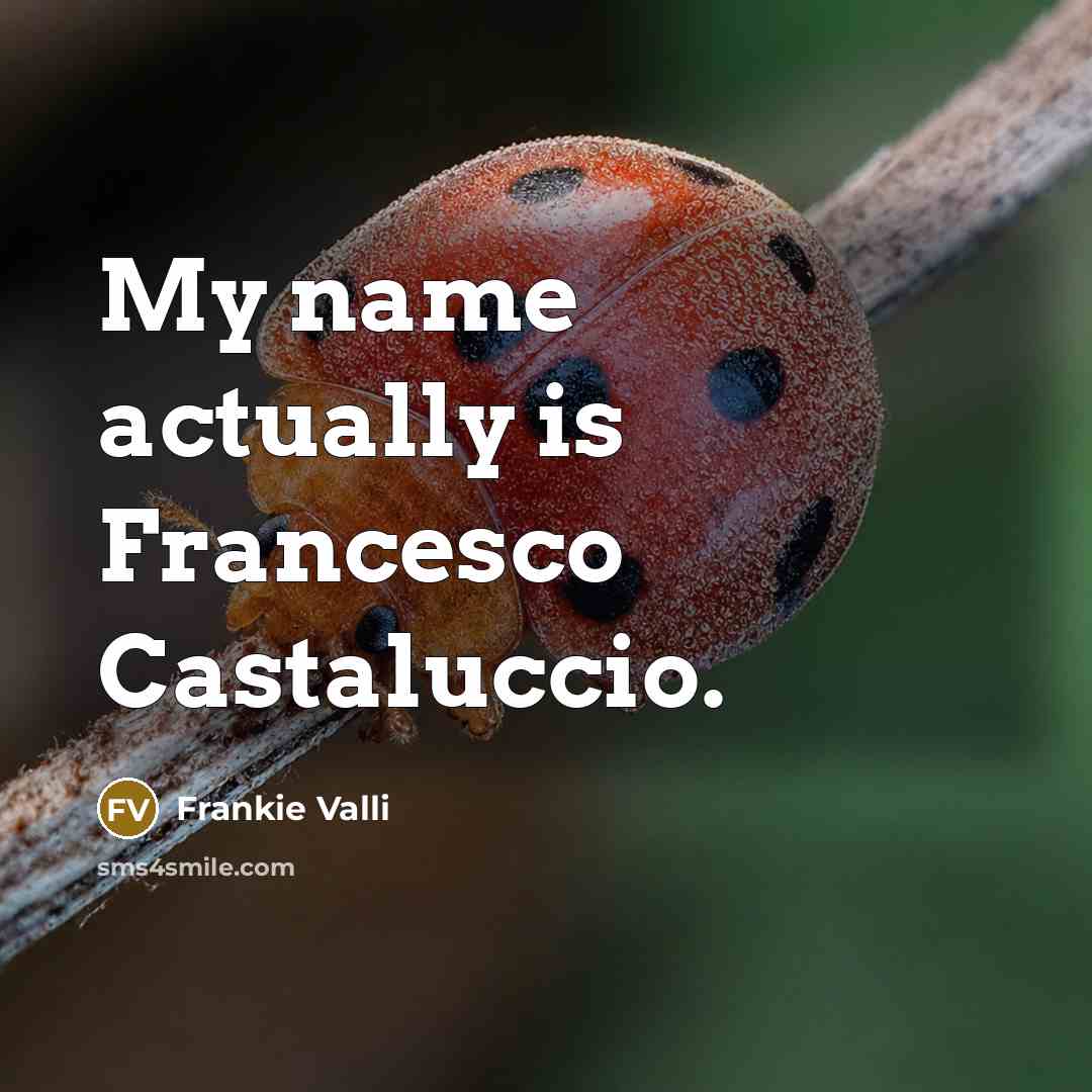 “My name actually is Francesco Castaluccio.” quote by Frankie Valli