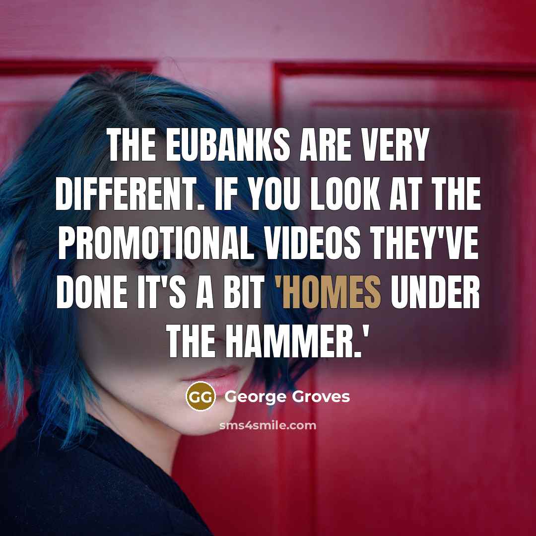 “The Eubanks are very different. If you look at the promotional videos they've done it's a bit 'Homes Under the Hammer.'” quote by George Groves