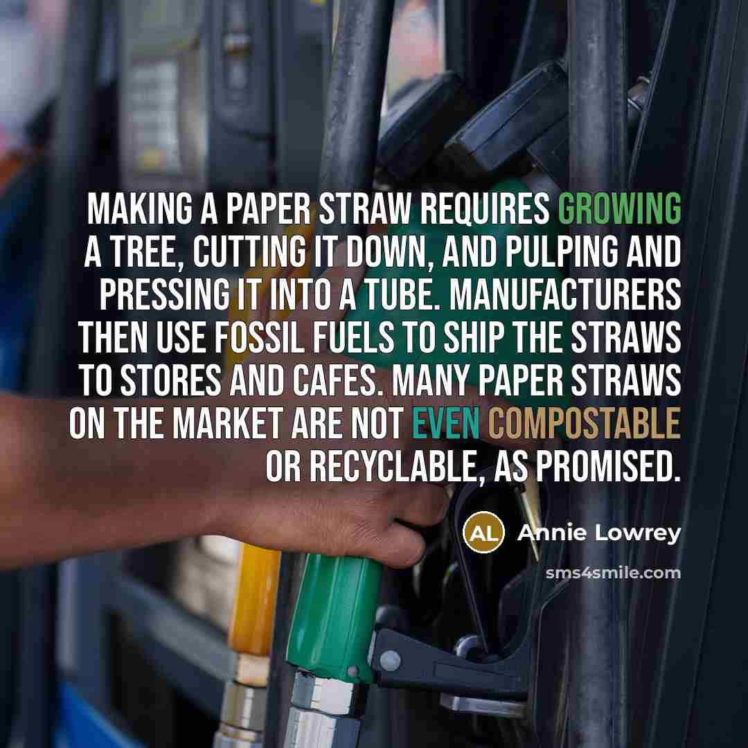 “Making a paper straw requires growing a tree, cutting it down, and pulping and pressing it into a tube. Manufacturers then use fossil fuels to ship the straws to stores and cafes. Many paper straws on the market are not even compostable or recyclable, as promised.” quote by Annie Lowrey