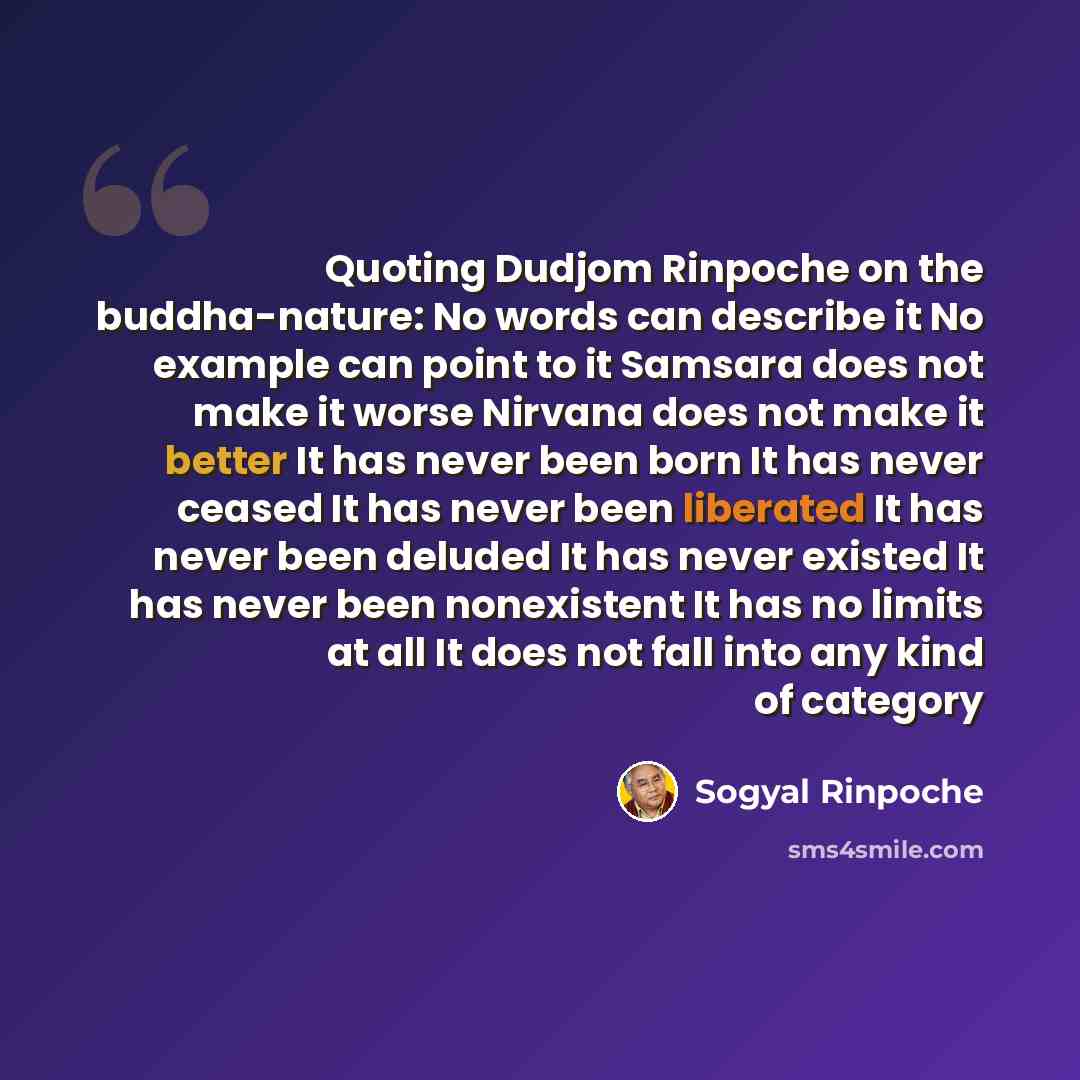“Quoting Dudjom Rinpoche on the buddha-nature: No words can describe it No example can point to it Samsara does not make it worse Nirvana does not make it better It has never been born It has never ceased It has never been liberated It has never been deluded It has never existed It has never been…” quote by Sogyal Rinpoche