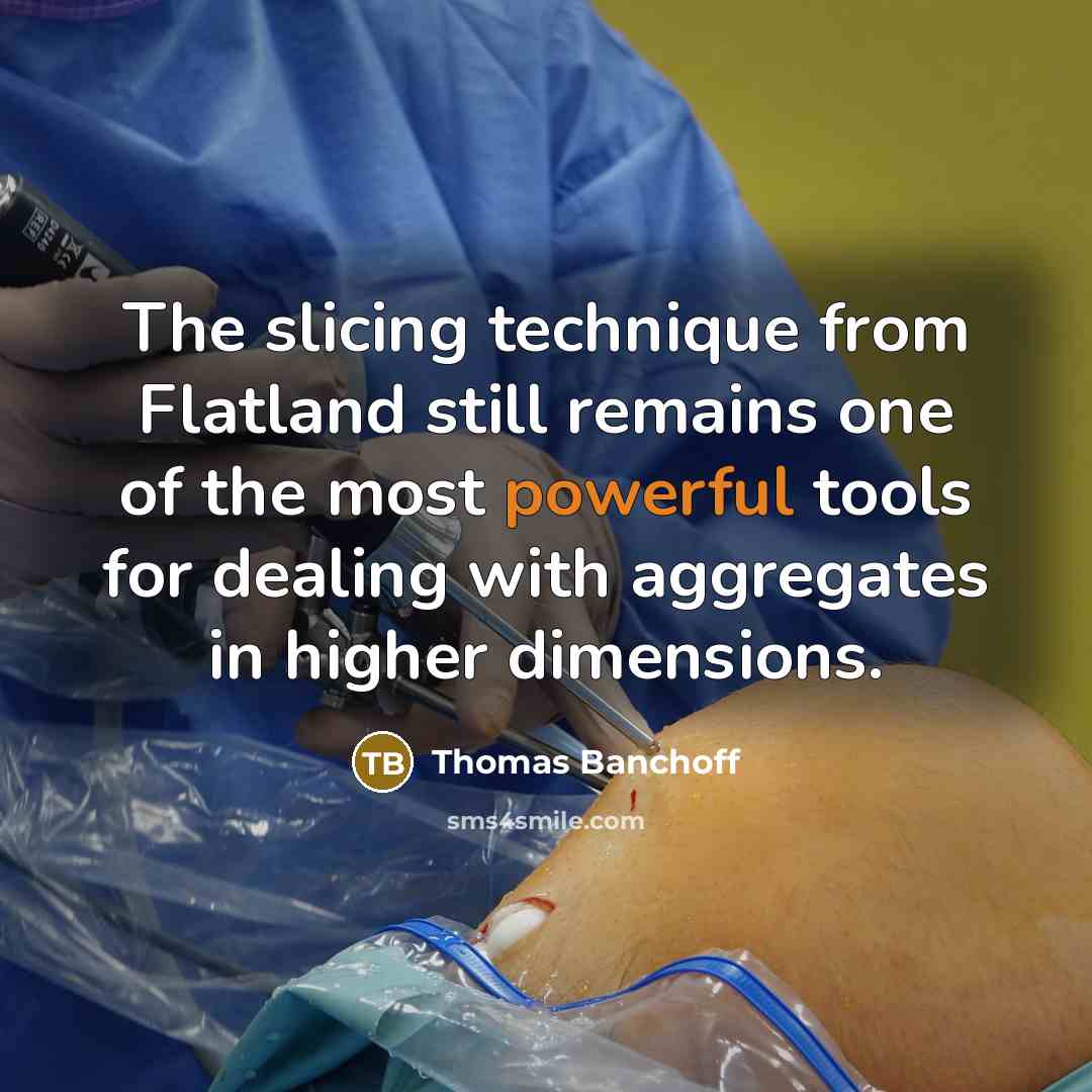 “The slicing technique from Flatland still remains one of the most powerful tools for dealing with aggregates in higher dimensions.” quote by Thomas Banchoff