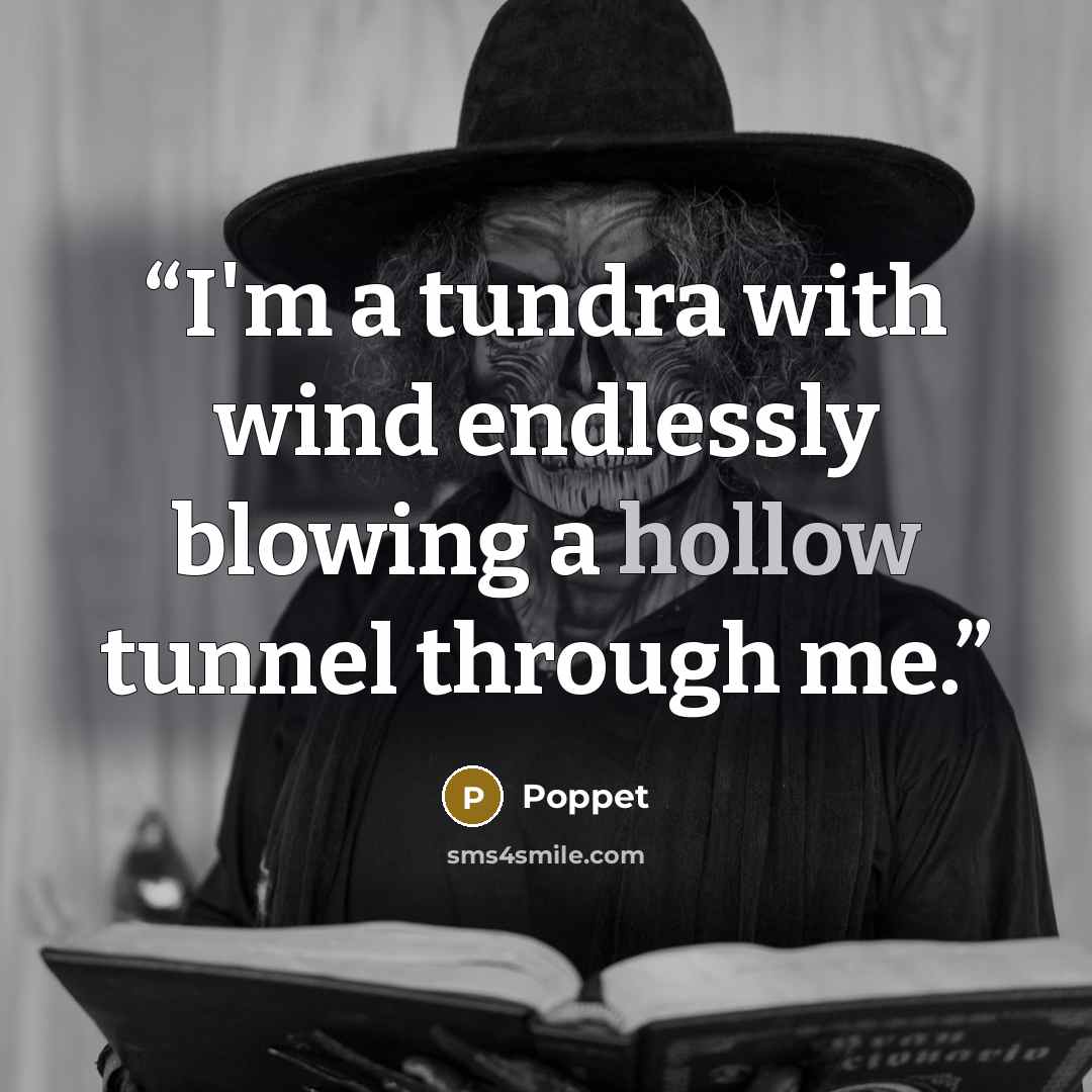 “I'm a tundra with wind endlessly blowing a hollow tunnel through me.” quote by Poppet