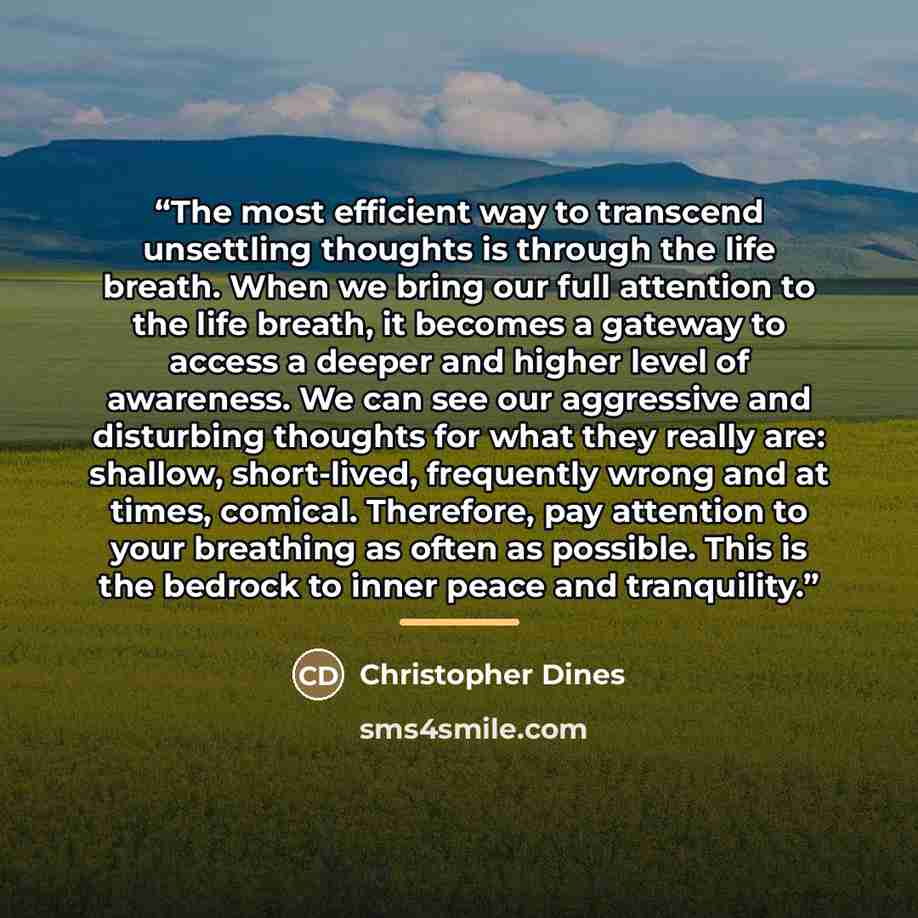 “The most efficient way to transcend unsettling thoughts is through the life breath. When we bring our full attention to the life breath, it becomes a gateway to access a deeper and higher level of awareness. We can see our aggressive and disturbing thoughts for what they really are: shallow…” quote by Christopher Dines