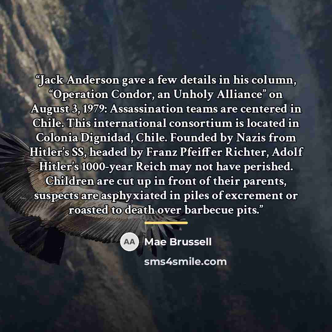 “Jack Anderson gave a few details in his column, “Operation Condor, an Unholy Alliance” on August 3, 1979: Assassination teams are centered in Chile. This international consortium is located in Colonia Dignidad, Chile. Founded by Nazis from Hitler’s SS, headed by Franz Pfeiffer Richter, Adolf…” quote by Mae Brussell