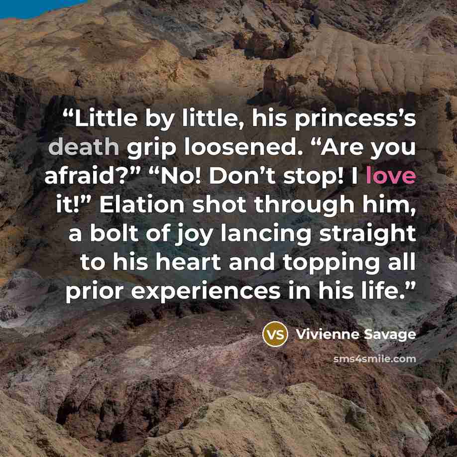 “Little by little, his princess’s death grip loosened. “Are you afraid?” “No! Don’t stop! I love it!” Elation shot through him, a bolt of joy lancing straight to his heart and topping all prior experiences in his life.” quote by Vivienne Savage