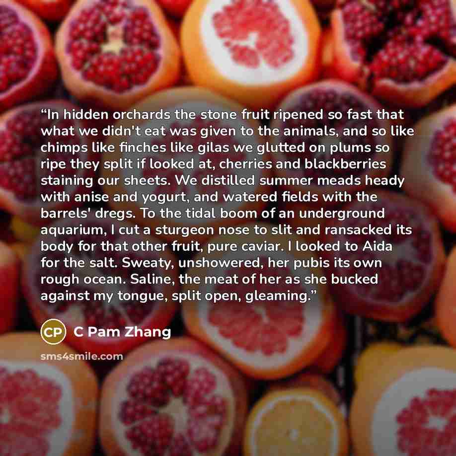 “In hidden orchards the stone fruit ripened so fast that what we didn't eat was given to the animals, and so like chimps like finches like gilas we glutted on plums so ripe they split if looked at, cherries and blackberries staining our sheets. We distilled summer meads heady with anise and yogurt…” quote by C Pam Zhang
