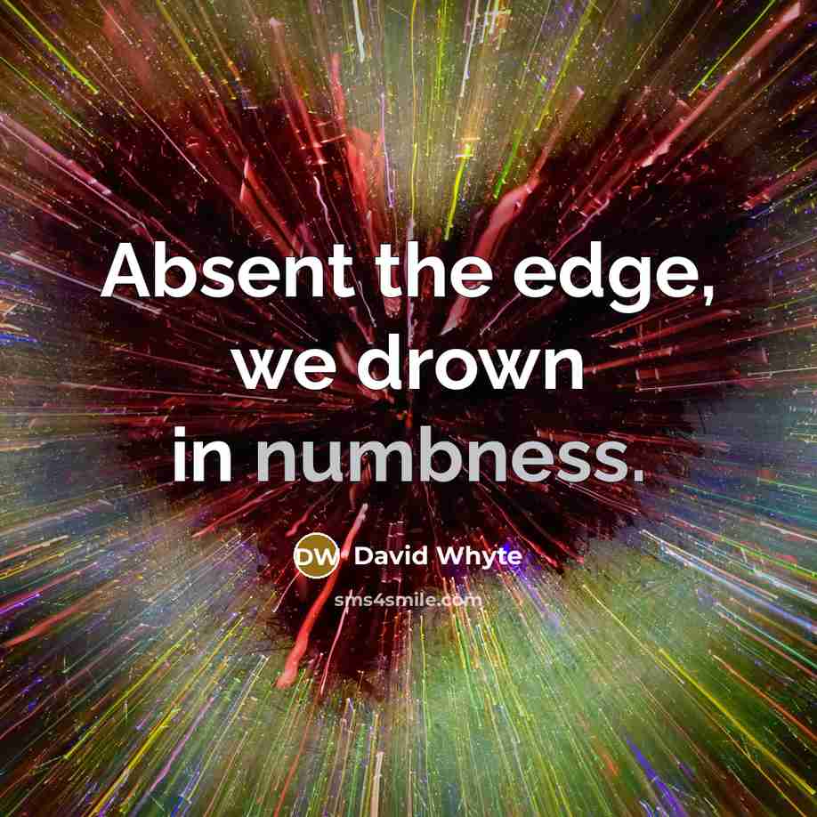 “Absent the edge, we drown in numbness.” quote by David Whyte