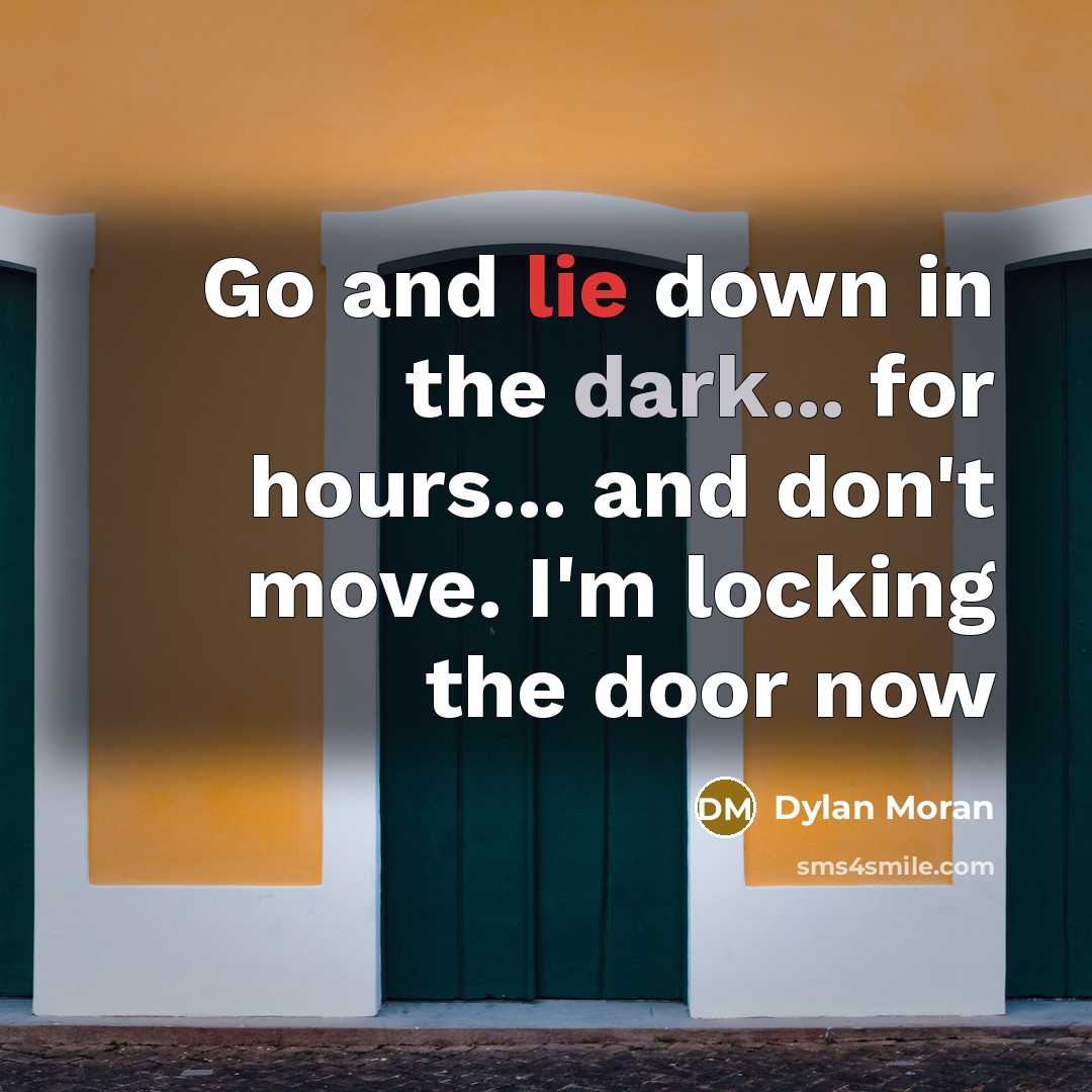 “Go and lie down in the dark... for hours... and don't move. I'm locking the door now” quote by Dylan Moran