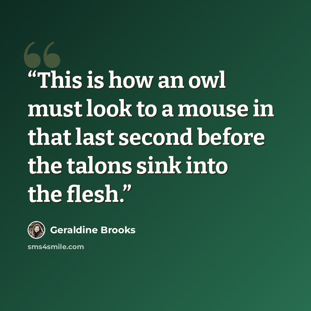 “This is how an owl must look to a mouse in that last second before the talons sink into the flesh.” quote by Geraldine Brooks