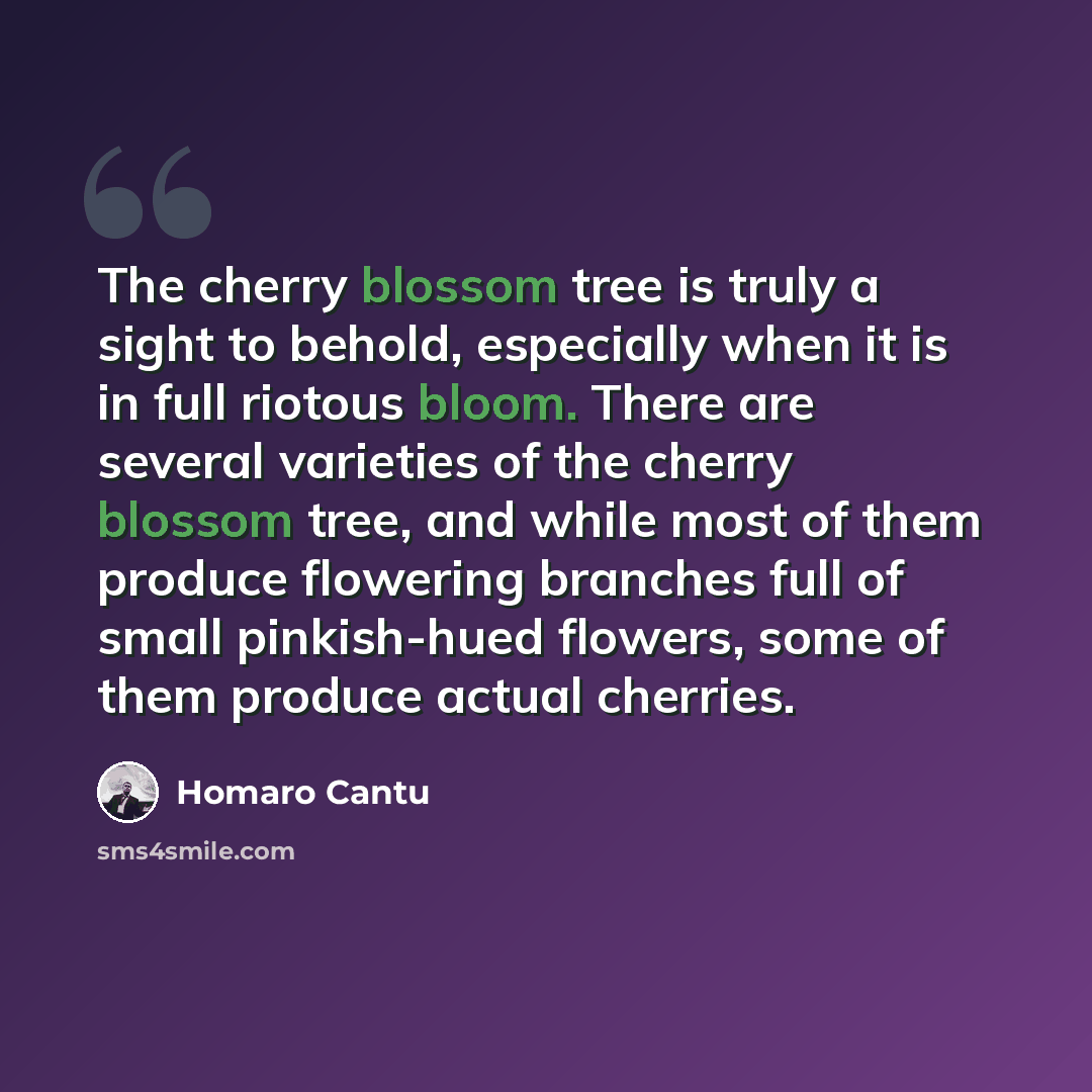 “The cherry blossom tree is truly a sight to behold, especially when it is in full riotous bloom. There are several varieties of the cherry blossom tree, and while most of them produce flowering branches full of small pinkish-hued flowers, some of them produce actual cherries.” quote by Homaro Cantu