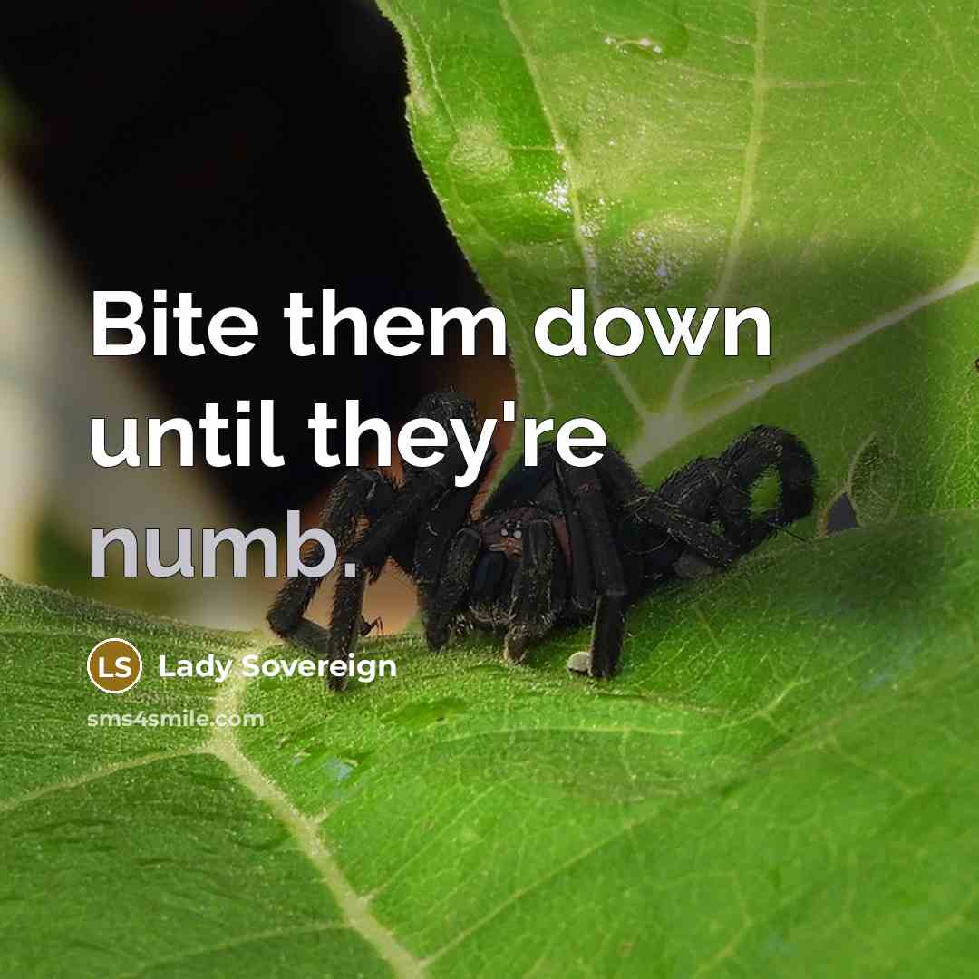 “Bite them down until they're numb.” quote by Lady Sovereign