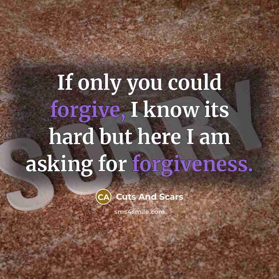 “If only you could forgive, I know its hard but here I am asking for forgiveness.” quote by Cuts And Scars