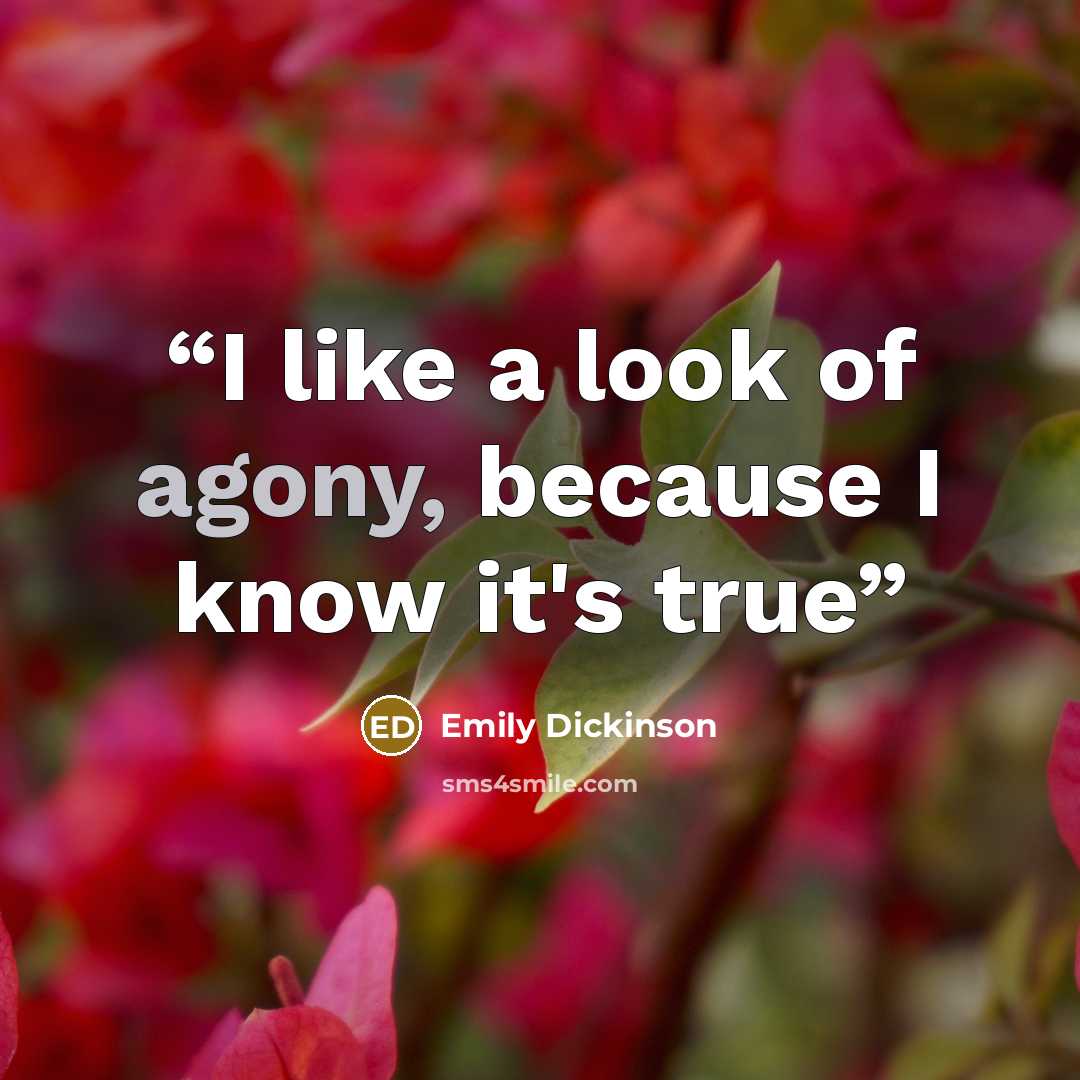 “I like a look of agony, because I know it's true” quote by Emily Dickinson