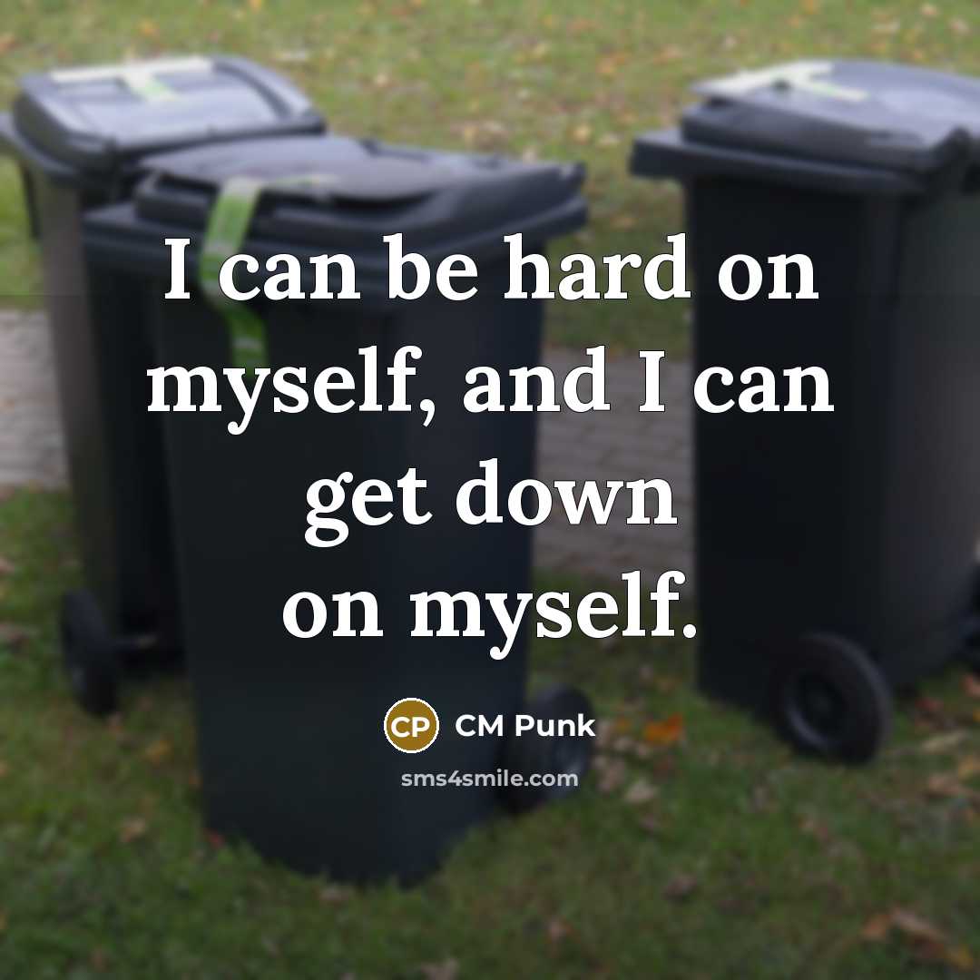 “I can be hard on myself, and I can get down on myself.” quote by CM Punk