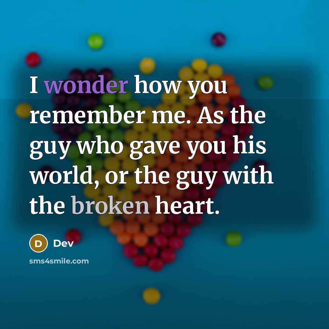 “I wonder how you remember me. As the guy who gave you his world, or the guy with the broken heart.” quote by Dev
