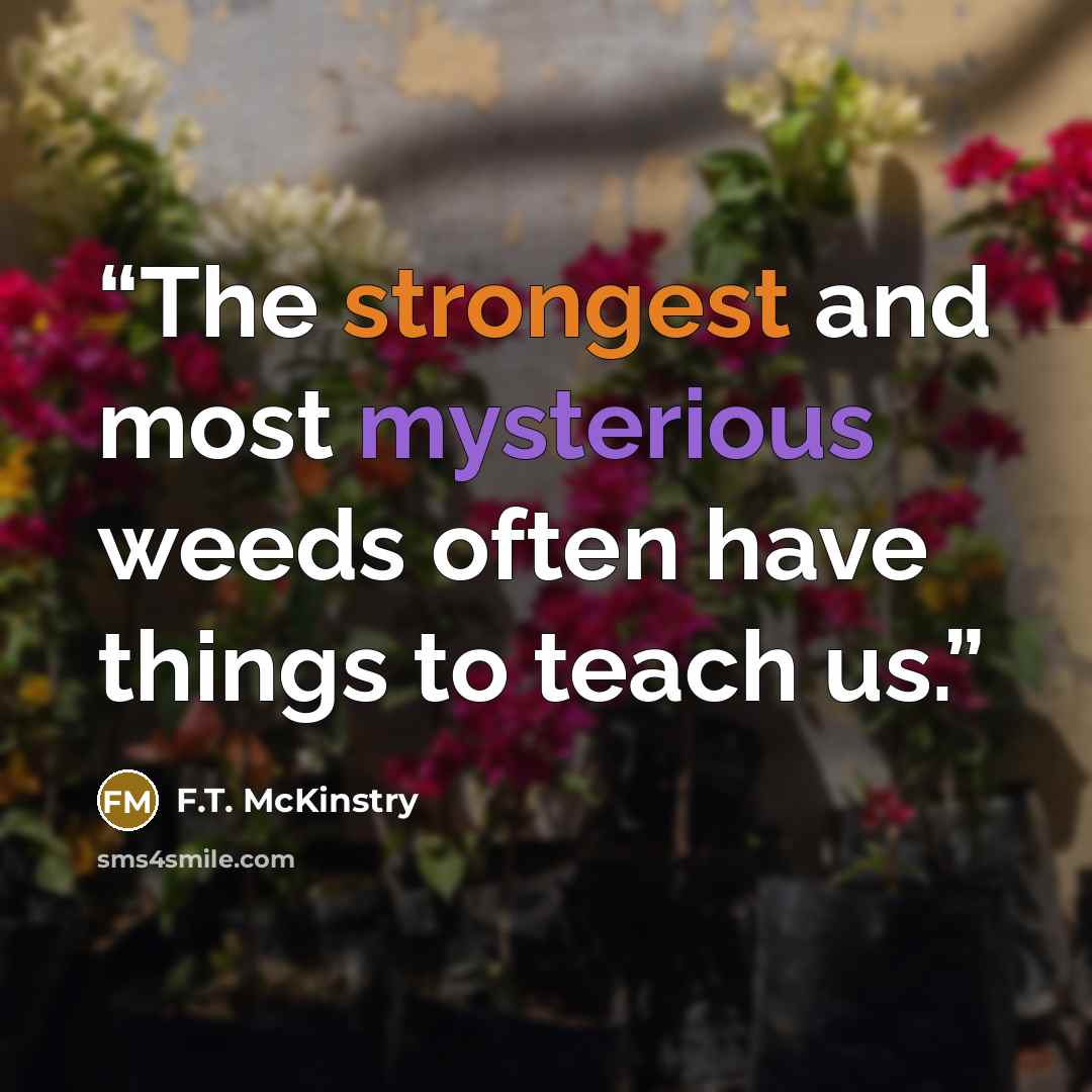 “The strongest and most mysterious weeds often have things to teach us.” quote by F.T. McKinstry