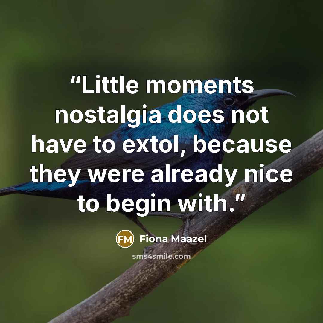 “Little moments nostalgia does not have to extol, because they were already nice to begin with.” quote by Fiona Maazel