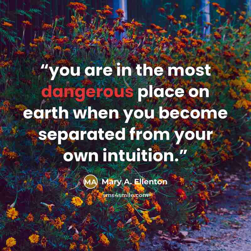 “you are in the most dangerous place on earth when you become separated from your own intuition.” quote by Mary A. Ellenton