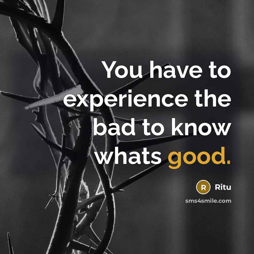“You have to experience the bad to know whats good.” quote by Ritu