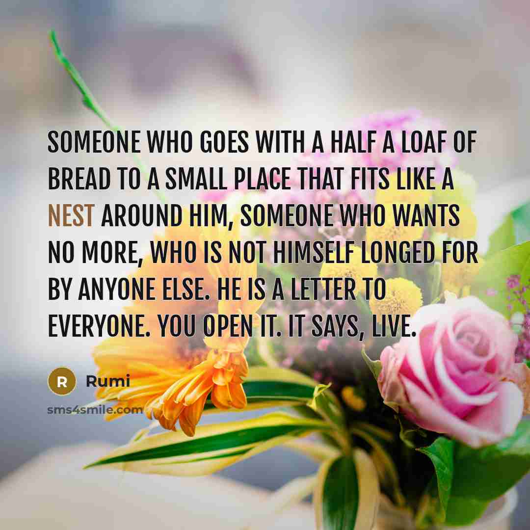 “Someone who goes with a half a loaf of bread to a small place that fits like a nest around him, someone who wants no more, who is not himself longed for by anyone else. He is a letter to everyone. You open it. It says, Live.” quote by Rumi