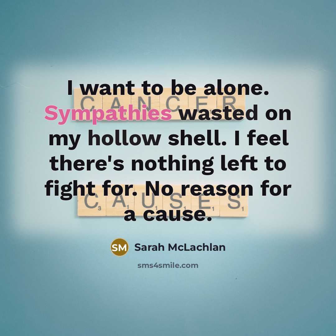 “I want to be alone. Sympathies wasted on my hollow shell. I feel there's nothing left to fight for. No reason for a cause.” quote by Sarah McLachlan