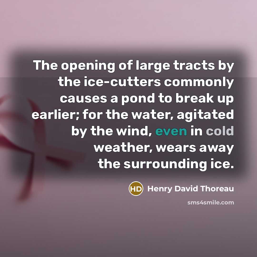 “The opening of large tracts by the ice-cutters commonly causes a pond to break up earlier; for the water, agitated by the wind, even in cold weather, wears away the surrounding ice.” quote by Henry David Thoreau