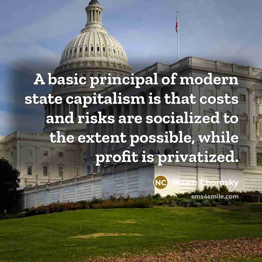 “A basic principal of modern state capitalism is that costs and risks are socialized to the extent possible, while profit is privatized.” quote by Noam Chomsky