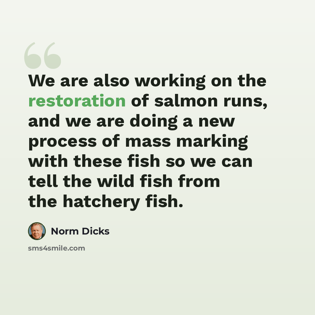 “We are also working on the restoration of salmon runs, and we are doing a new process of mass marking with these fish so we can tell the wild fish from the hatchery fish.” quote by Norm Dicks