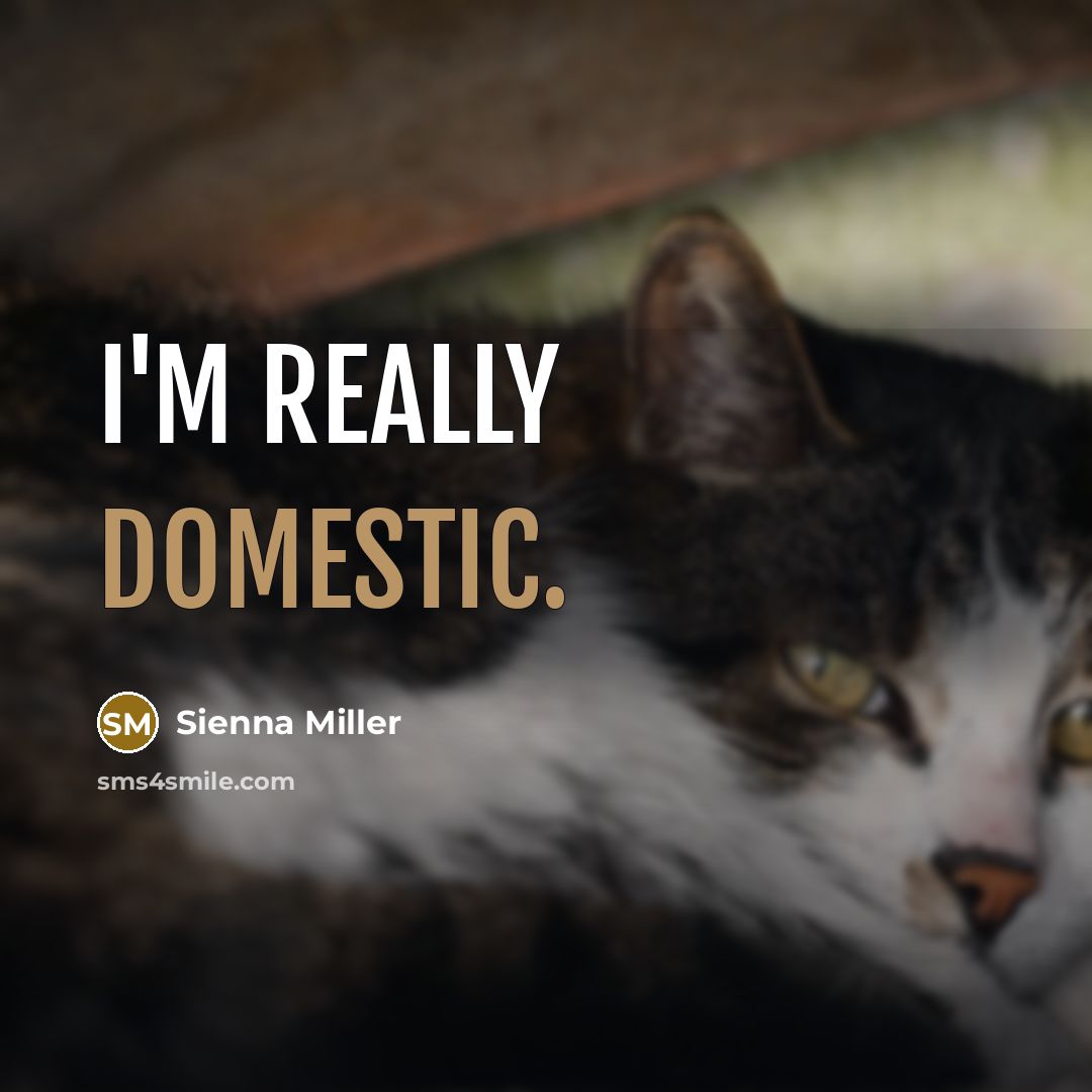 “I'm really domestic.” quote by Sienna Miller