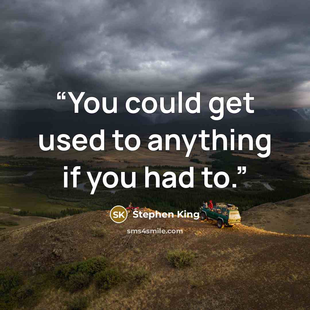 “You could get used to anything if you had to.” quote by Stephen King