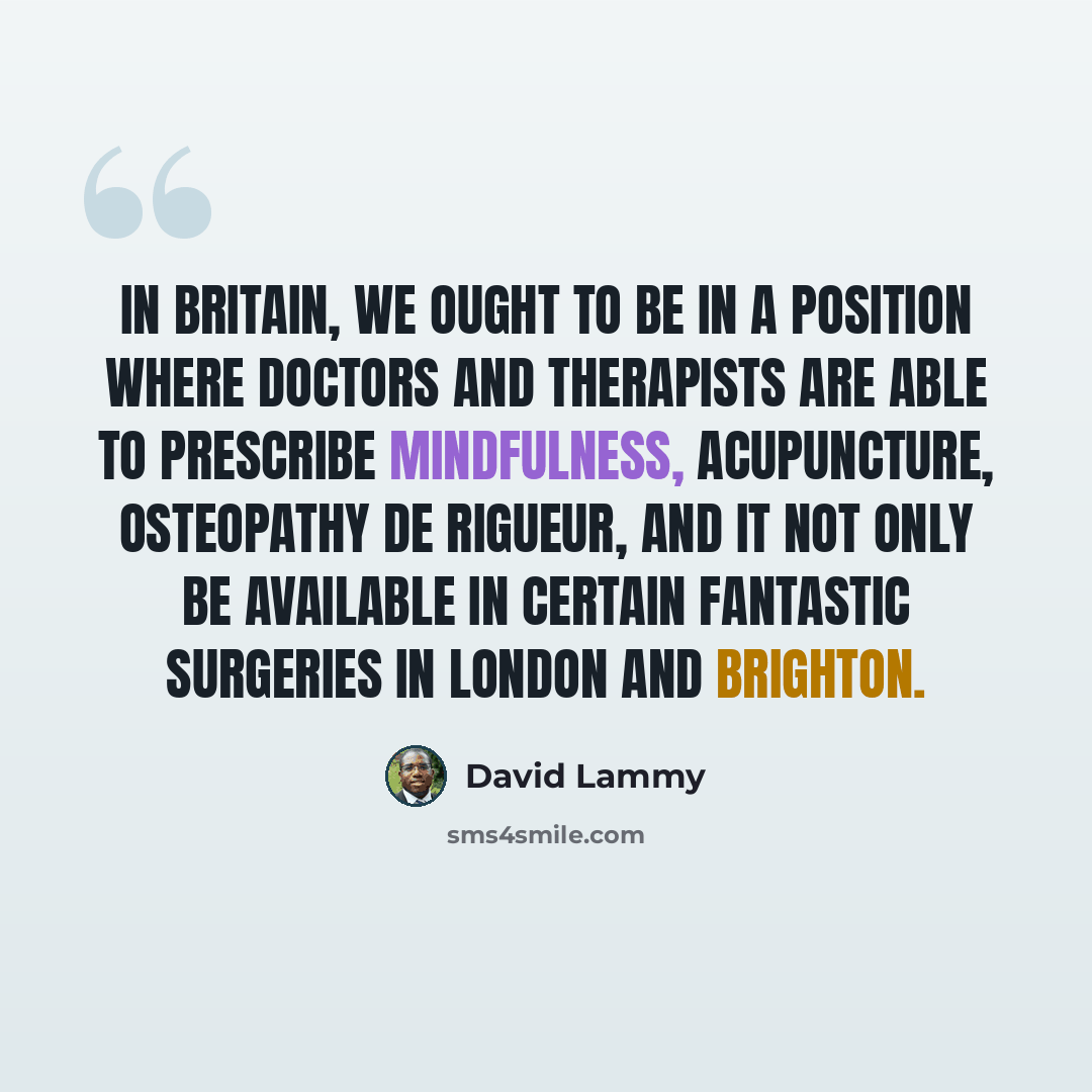 “In Britain, we ought to be in a position where doctors and therapists are able to prescribe mindfulness, acupuncture, osteopathy de rigueur, and it not only be available in certain fantastic surgeries in London and Brighton.” quote by David Lammy