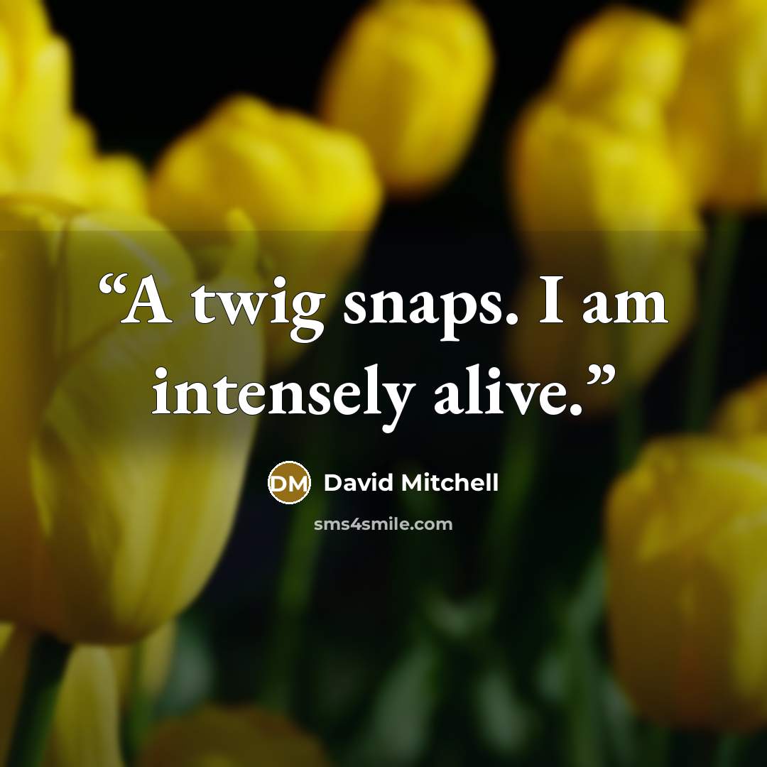 “A twig snaps. I am intensely alive.” quote by David Mitchell