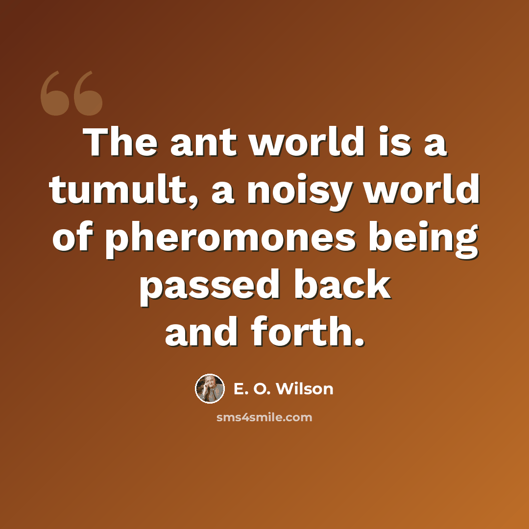 “The ant world is a tumult, a noisy world of pheromones being passed back and forth.” quote by E. O. Wilson
