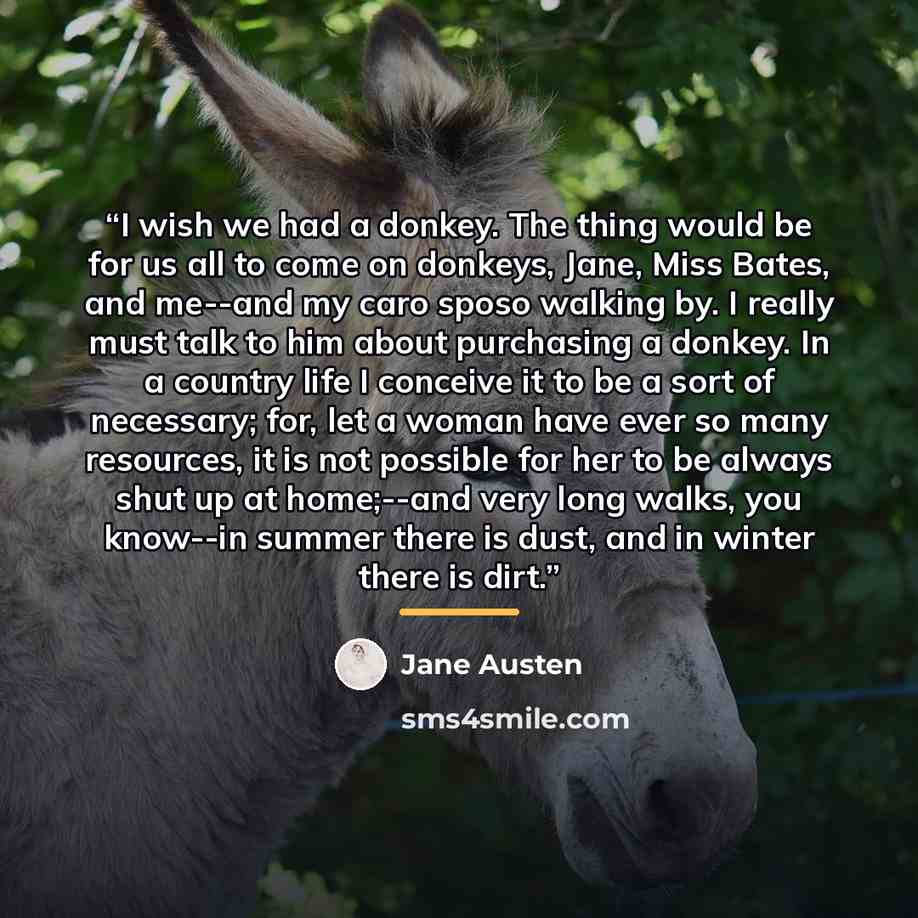 “I wish we had a donkey. The thing would be for us all to come on donkeys, Jane, Miss Bates, and me--and my caro sposo walking by. I really must talk to him about purchasing a donkey. In a country life I conceive it to be a sort of necessary; for, let a woman have ever so many resources, it is not…” quote by Jane Austen